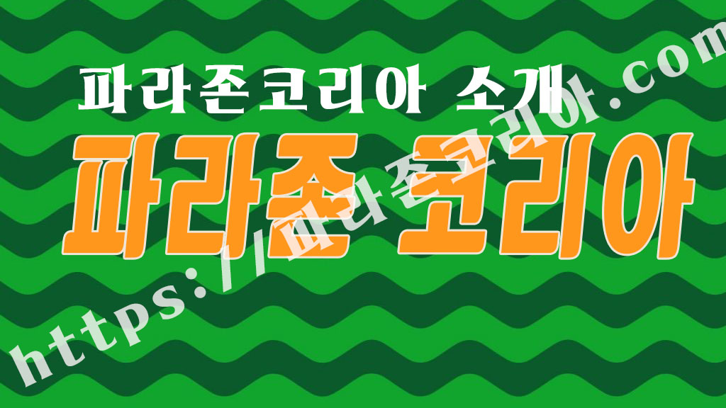 파라존코리아 소개