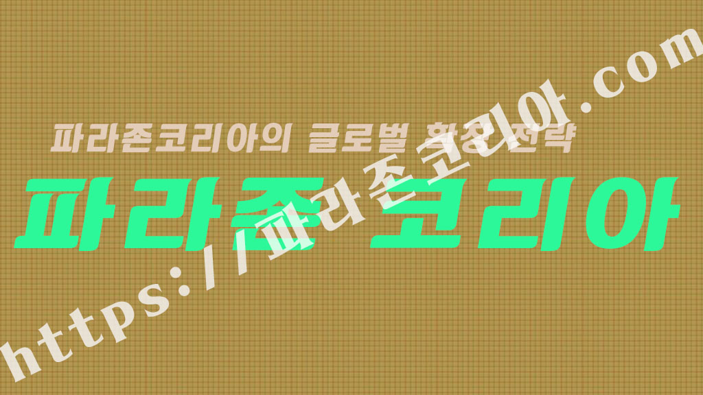 파라존코리아의 글로벌 확장 전략
